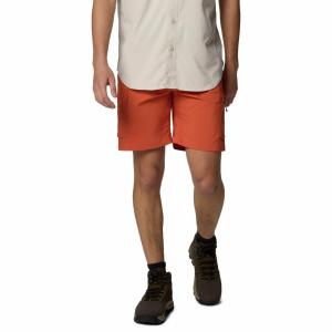 Męskie szorty cargo Columbia Silver Ridge Utility Cargo Short tuscan 32