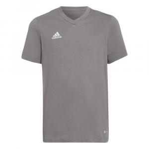 Koszulka dla dzieci adidas Entrada 22 Tee