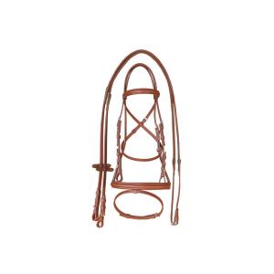 Headstall z podniesionym naczółkiem