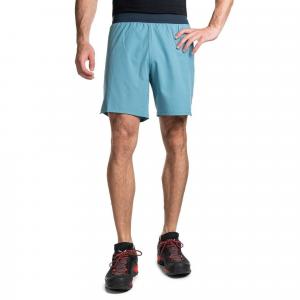 Spodenki do biegania męskie Dynafit Alpine Shorts
