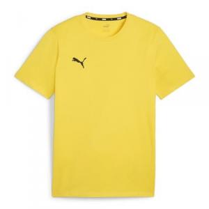 Koszulka męska Puma Team Goal Casuals Tee