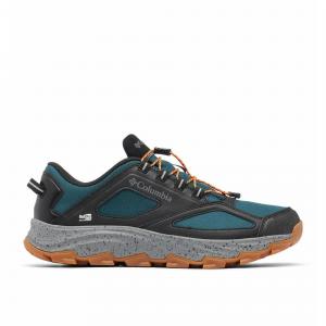 COLUMBIA BUTY FLOW MORRISON OUTDRY 2043971414 r 43,5