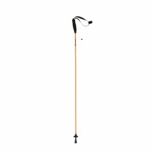 Túrabot Ferrino Stick Eiger Cm.115 (Coppia)