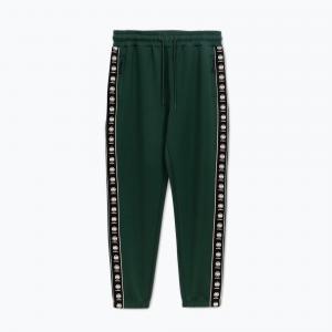 Spodnie męskie Pitbull Track Pants Powers