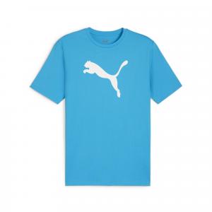Koszulka męska Puma Team Rise Logo Jersey Cotton
