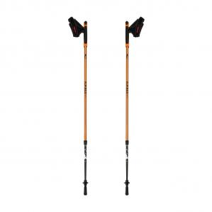 Kijki nordic walking Alpinus Kungsleden