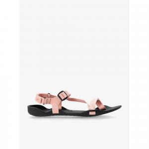 Sandały turystyczne damskie Xero Shoes Z-Trek