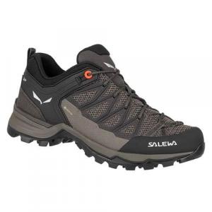 Buty trekkingowe damskie Salewa Mtn Trainer Lite Gtx