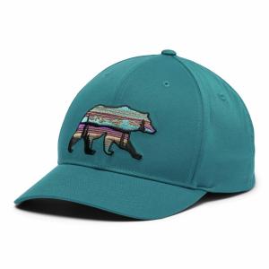 Czapka z daszkiem Columbia Lost Lager 110 Snapback