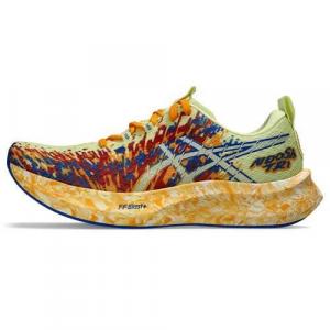Buty do biegania męskie Asics Noosa Tri 16