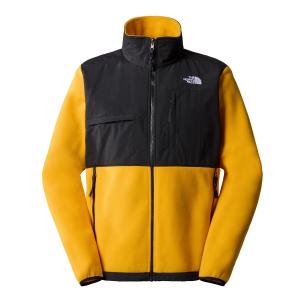 The North Face Polar Denali Nf0A7Ur2Zu3