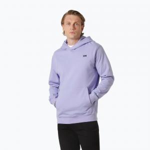 Bluza męska Helly Hansen Core Graphic Sweat Hoodie