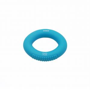 Przyrząd do ćwiczeń Y&Y Vertical Climbing Ring 25 kg - blue