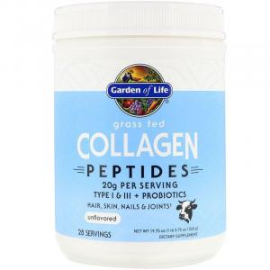 Garden of Live Collagen Peptides 560 grams
