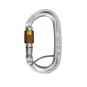 Karabinek do wspinaczki Climbing Technology Pillar Pro SGL