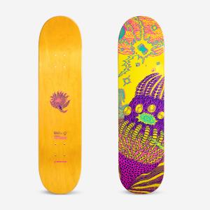 Deck deskorolki klonowy DK500 Popsicle 8\