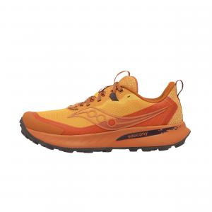 Buty do biegania w terenie męskie Saucony Peregrine 15