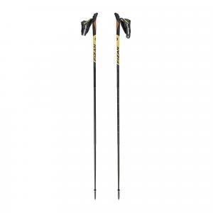 Kije nordic walking Fizan Lite