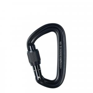 Karabinek Black Diamond LiteForge Screwgate - black