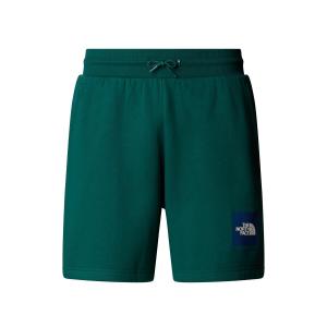 Spodenki sportowe męskie The North Face Box Nse Regular