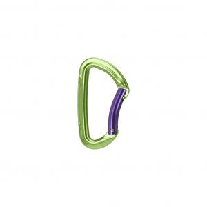 Karabinek Wild Country Session Bent Gate