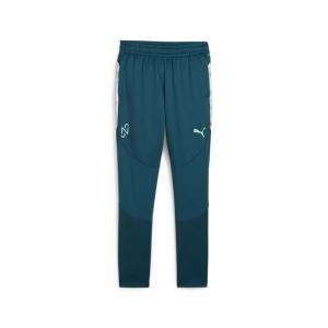 Spodnie Puma Neymar Jr Creativity Training Pants Jr, Dzieci