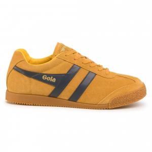 Trenerzy z zamszu Gola Harrier