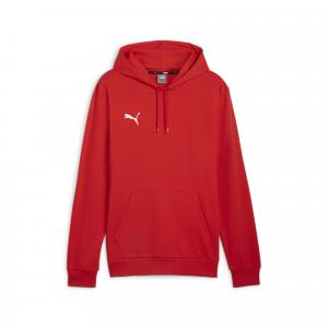 Bluza z kapturem Puma Teamgoal Casuals