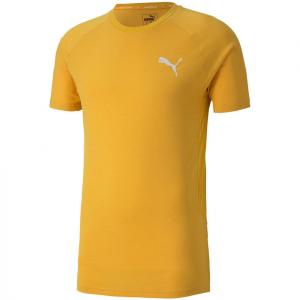 Koszulka piłkarska męska Puma Evostripe Lite Tee