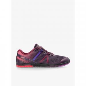 Buty do biegania damskie Xero Shoes HFS II
