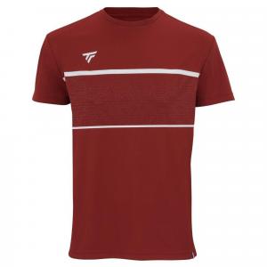 Koszulka tenisowa męska z krótkim rękawem Tecnifibre Team Tech Tee cardinal