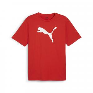 Koszulka męska Puma Team Rise Logo Jersey Cotton