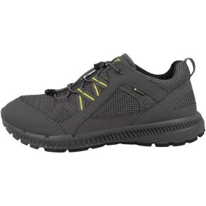 Buty do chodzenia męskie Ecco Terracruise Ll Gtx Tex 2025