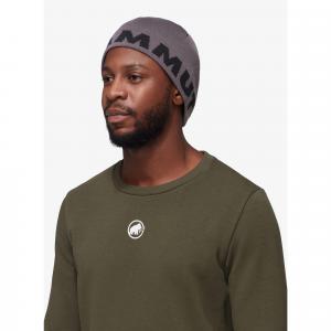Czapka zimowa Mammut Logo Beanie - steel/black