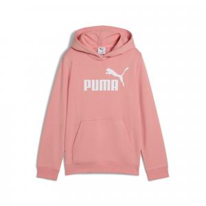 Bluza z kapturem Puma Ess No. 1 Logo Hoodie Tr G, Dzieci