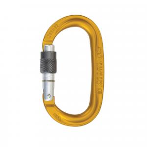 Karabinek do wspinaczki Climbing Technology Pillar Pro SG