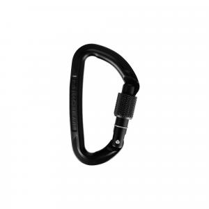 Karabinek wspinaczkowy Session Screw Gate