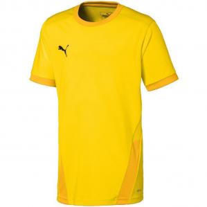 Koszulka dla dzieci Puma teamGOAL 23 Jersey