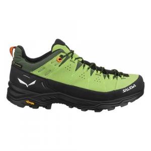 Buty trekkingowe męskie Salewa Alp Trainer 2 Gtx