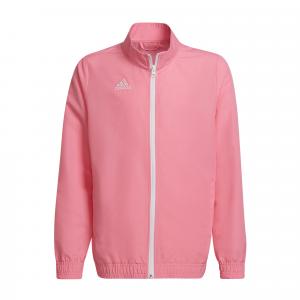 Dziecięca bluza dresowa adidas Entrada 22