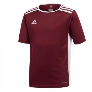 Koszulka dla dzieci adidas Entrada 18 Jersey JUNIOR