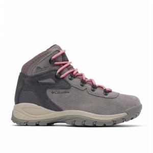 Buty Trekkingowe Damskie Columbia Newton Ridge Plus Waterproof Amped