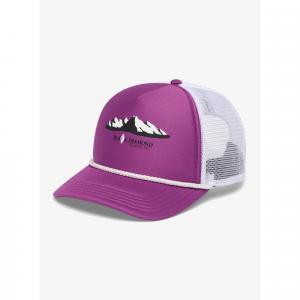 Czapka z daszkiem Black Diamond Flat Bill Trucker Hat