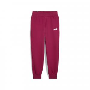 Damskie spodnie dresowe Essentials PUMA Magenta Gleam Pink