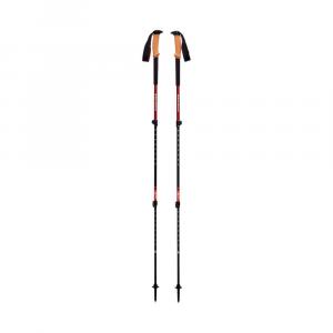 Kije trekkingowe Black Diamond Cork (x2)