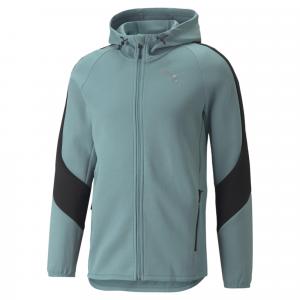 Bluza dresowa męska Puma EVOSTRIPE