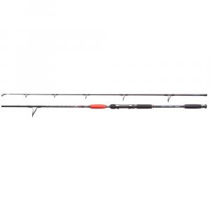 Wędka sumowa Jaxon Catfish E-Spin & Troll 2,40m 160g