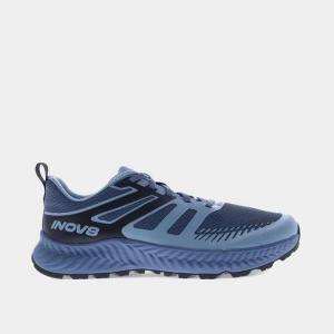 Buty do biegania męskie, Trailfly Standard