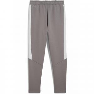 Młodzieżowe spodnie Evostripe PUMA Cast Iron Gray