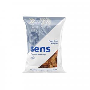 Chipsy Proteinowe Food Bugs Solone 80G